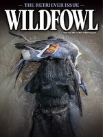 Wildfowl